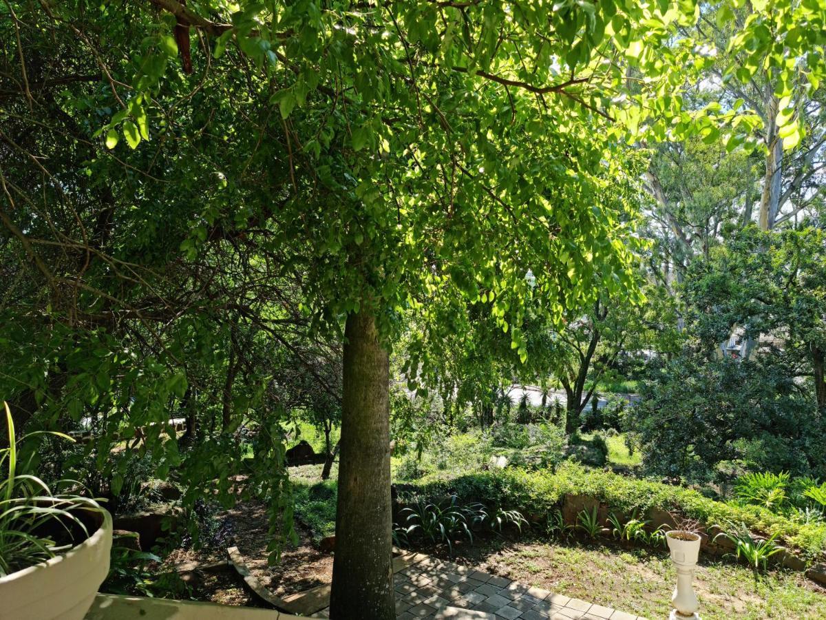 Peaches & Cream Bed & Breakfast 레이디스미스 외부 사진