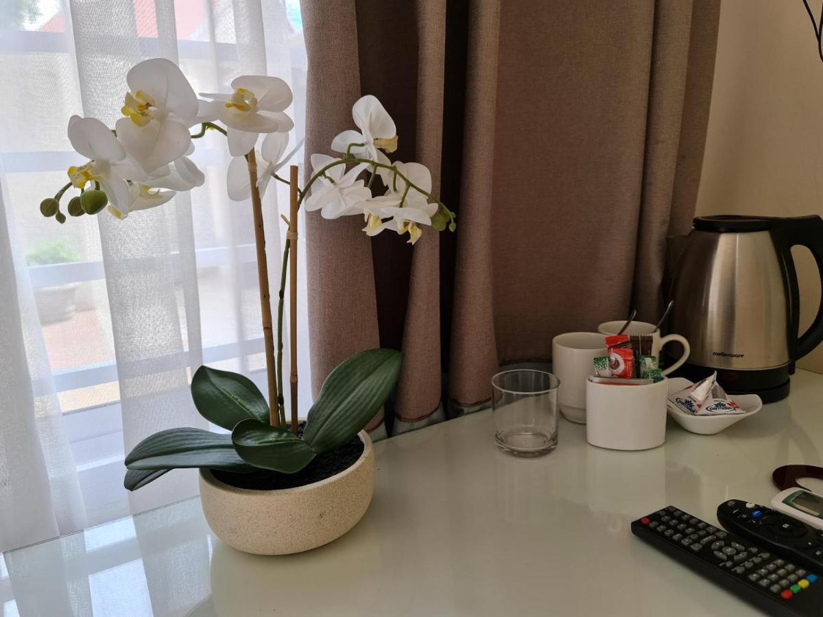 Peaches & Cream Bed & Breakfast 레이디스미스 외부 사진